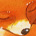 KAKAO / ACEO #016 - Kitsune