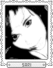 Sari