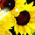 Zum 20. Geburtstag am 25.05.2005 von Yumiko