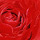 Einfach so am 17.01.2006 von Luzimon