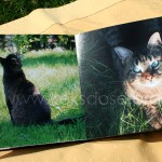 Fotobuch