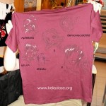 NiCon 2009 - Versteigerungs-Shirt
