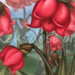 Ausschnitt - Blumen