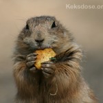 OmNomNomNom *_*