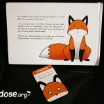 StupidFox Buch - Hinten