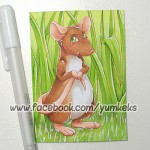 KaKAO #039 - Cute Rat