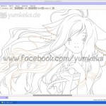 Kiku Test in SAI