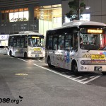 Mini-Busse - Kawaii *_*