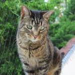 Unser Sorgenkind Max