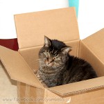 Max in der Box xD