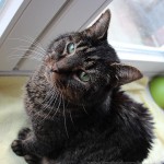 R.I.P. Mäxchen