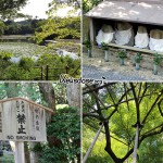 Ein japanischer Park