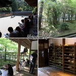 Der Stone Garden