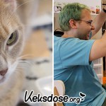 Im Cat Café Teil 2 x3