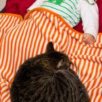 Minikeks und Kisa