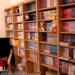 Manga-Sammlung