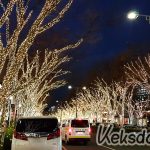 Illuminations in Omotesando